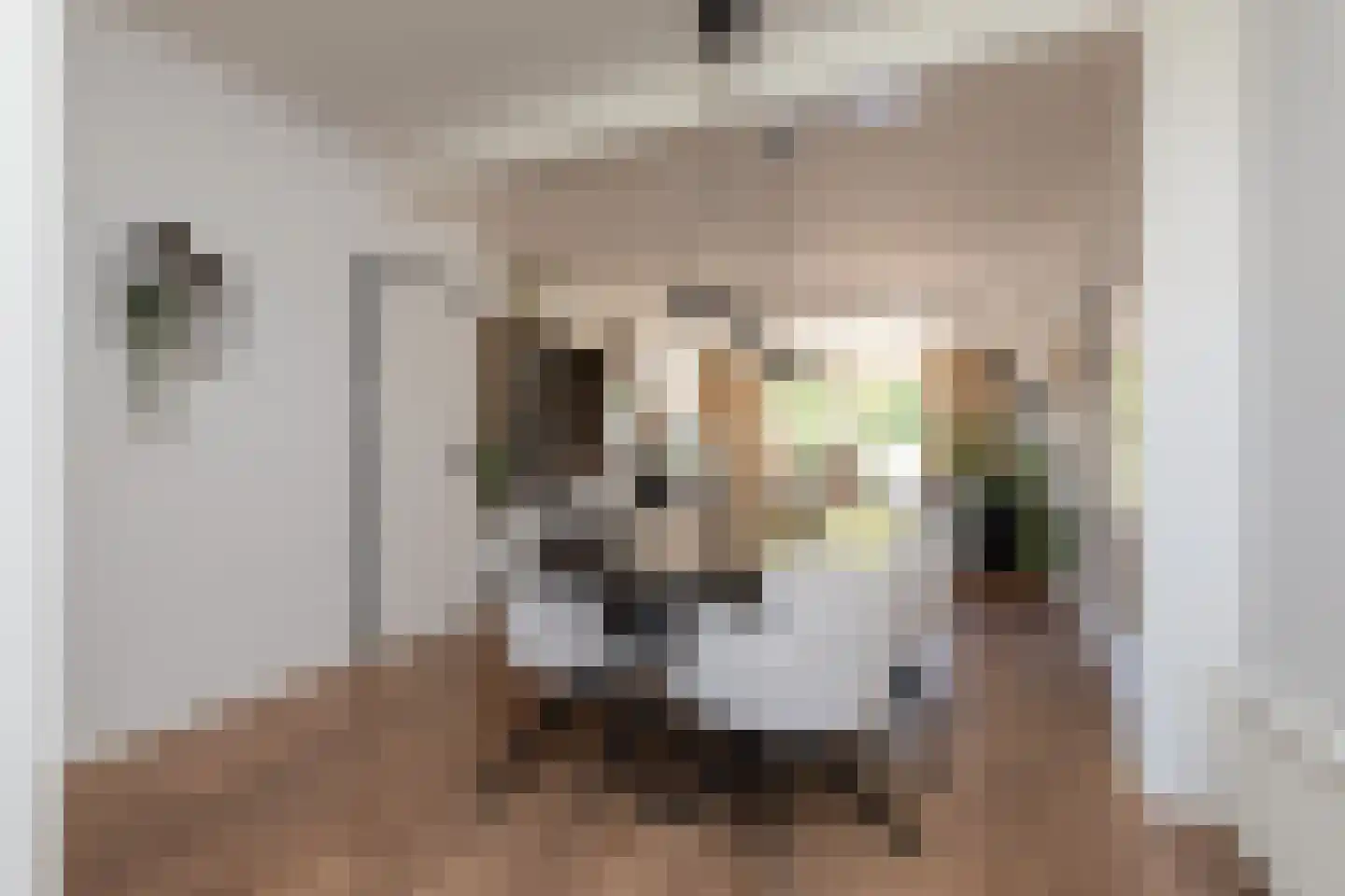Commanderij 51 Sneek thumbnail 8