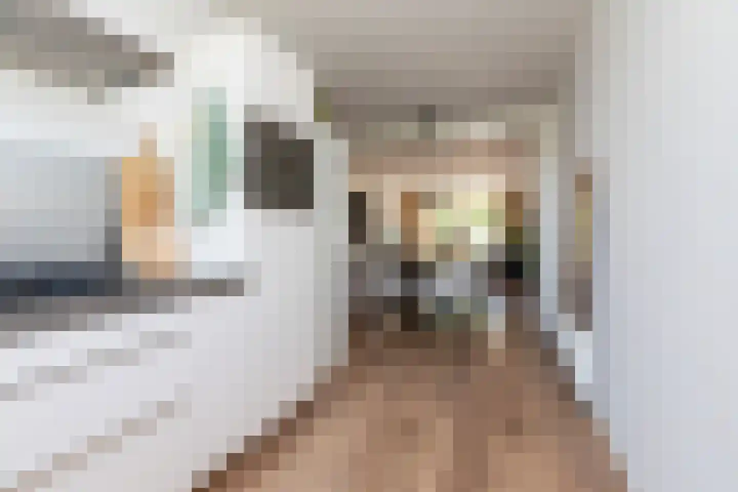 Commanderij 51 Sneek thumbnail 9