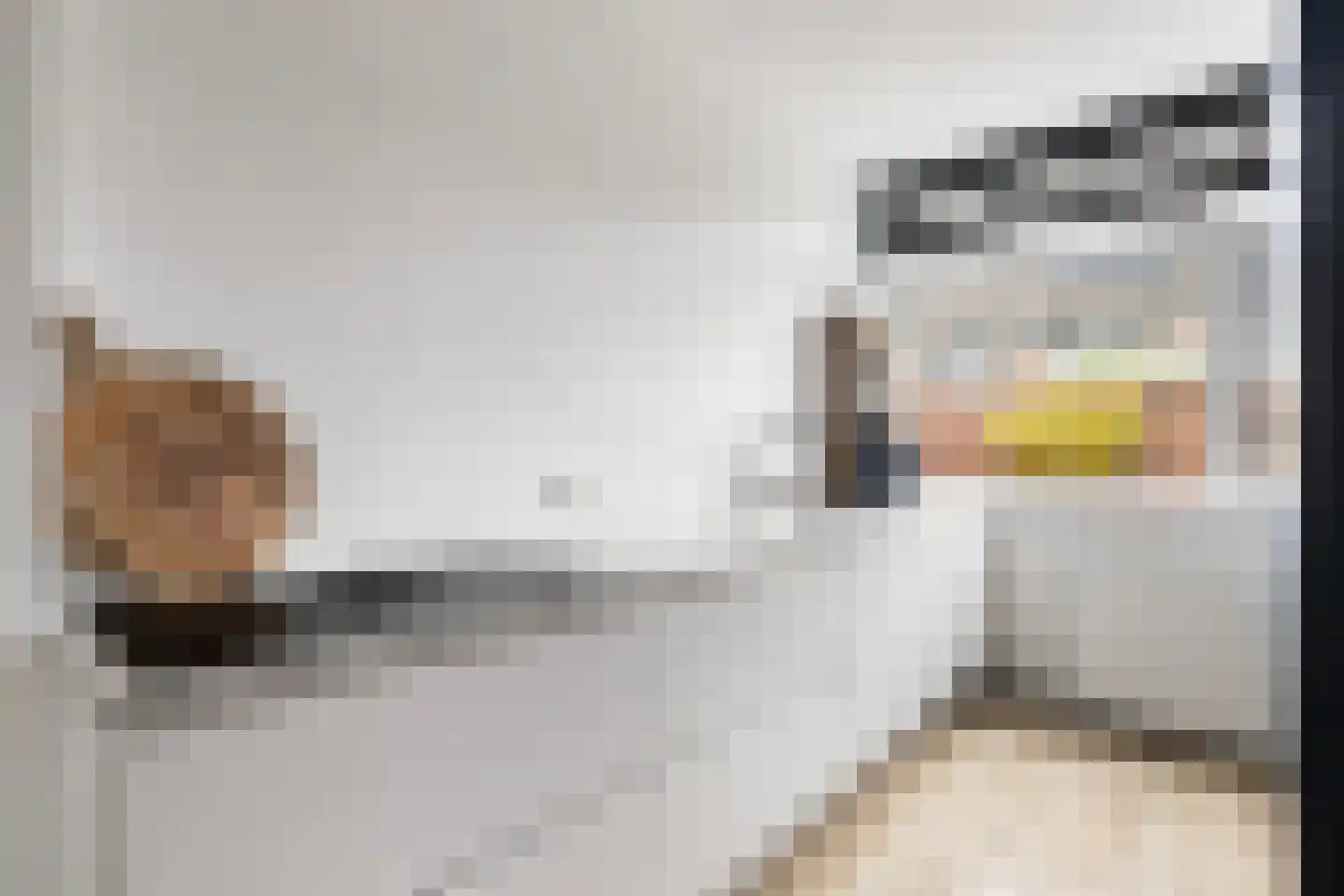 Commanderij 56 Sneek thumbnail 13