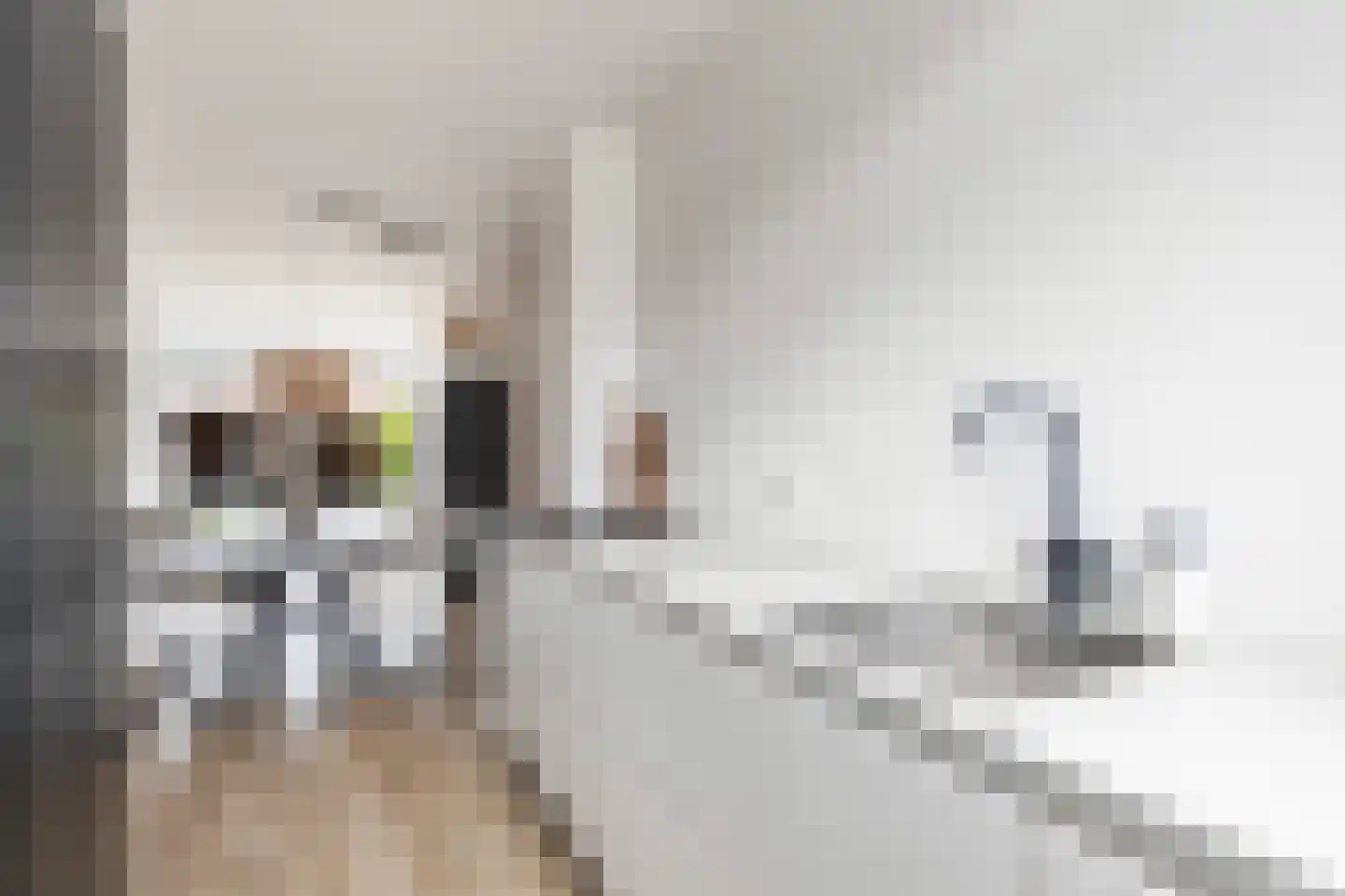 Commanderij 56 Sneek thumbnail 14