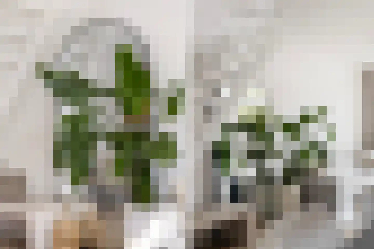 Commanderij 56 Sneek thumbnail 16