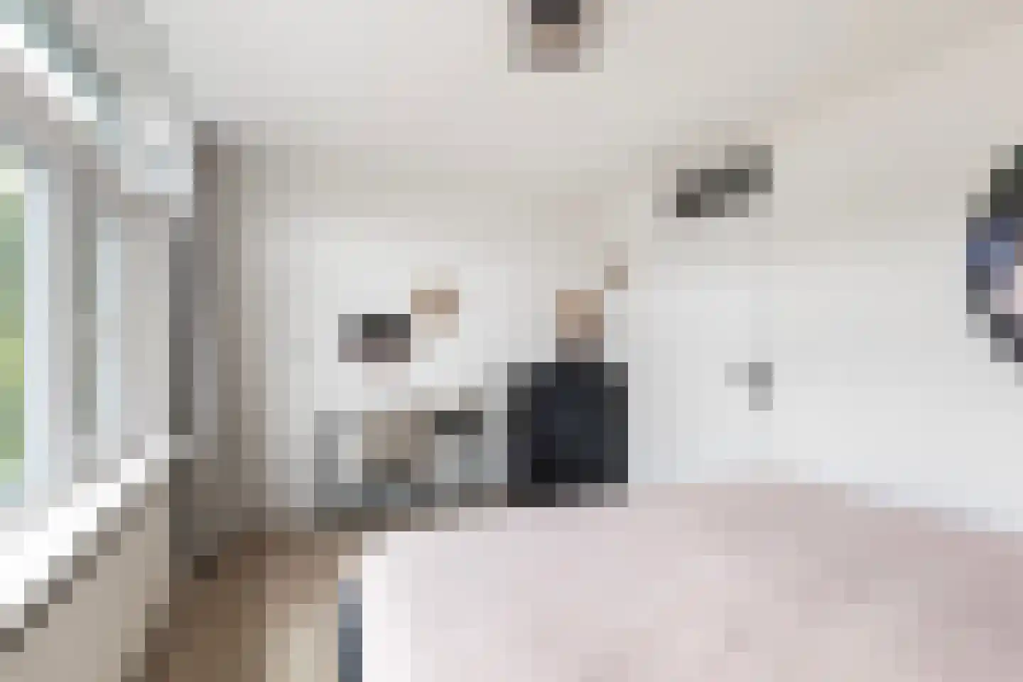 Commanderij 56 Sneek thumbnail 22