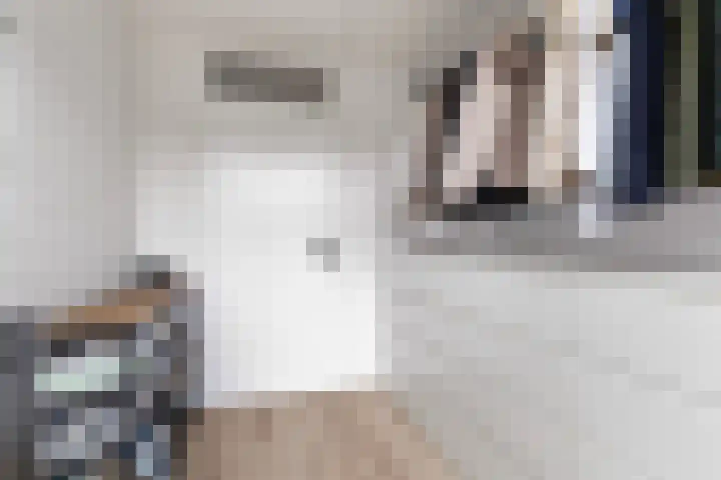 Commanderij 56 Sneek thumbnail 24