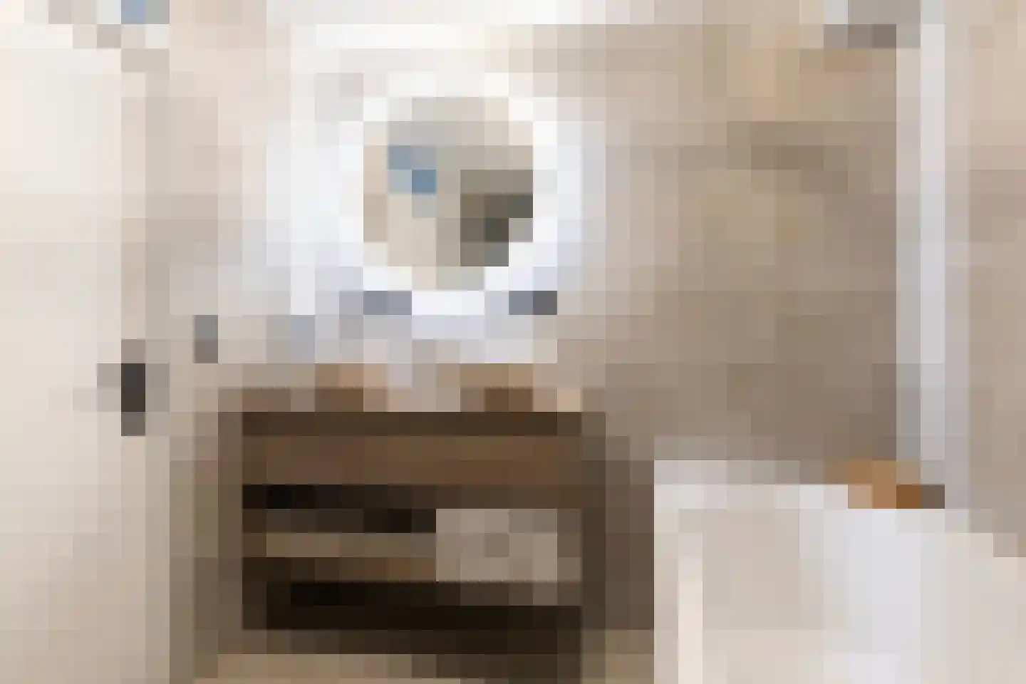 Commanderij 56 Sneek thumbnail 28