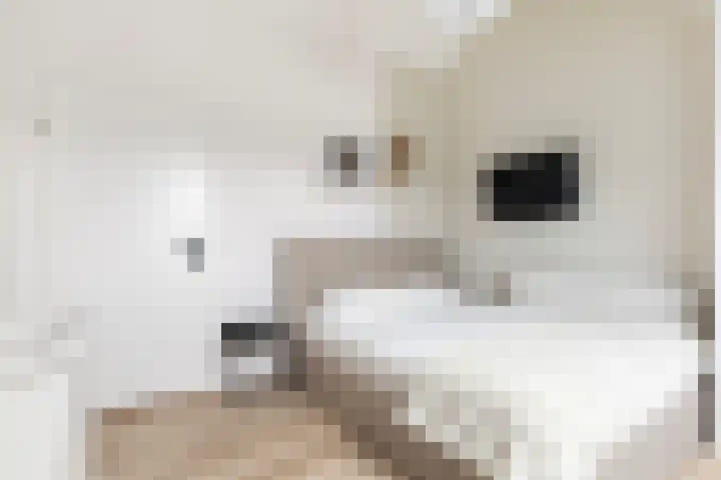 Commanderij 56 Sneek thumbnail 34
