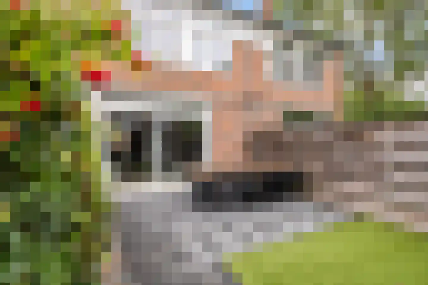 Commanderij 56 Sneek thumbnail 39