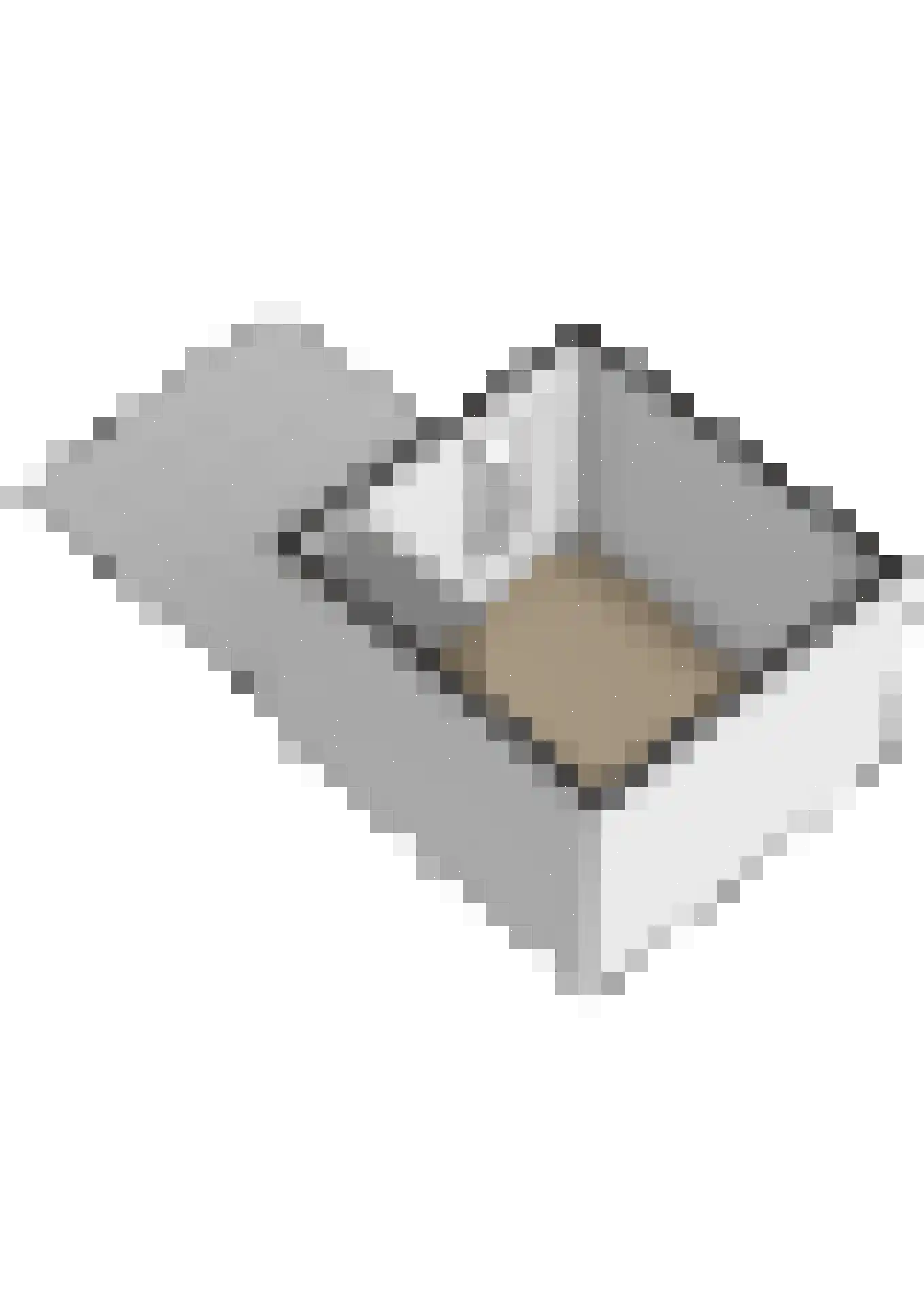 Commanderij 56 Sneek thumbnail 57