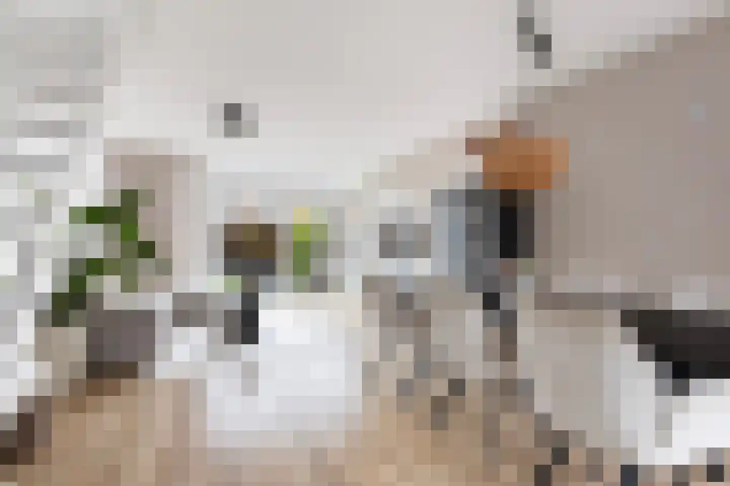 Commanderij 56 Sneek thumbnail 7