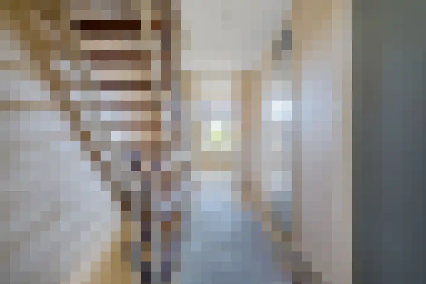Commanderij 57 Sneek thumbnail 11