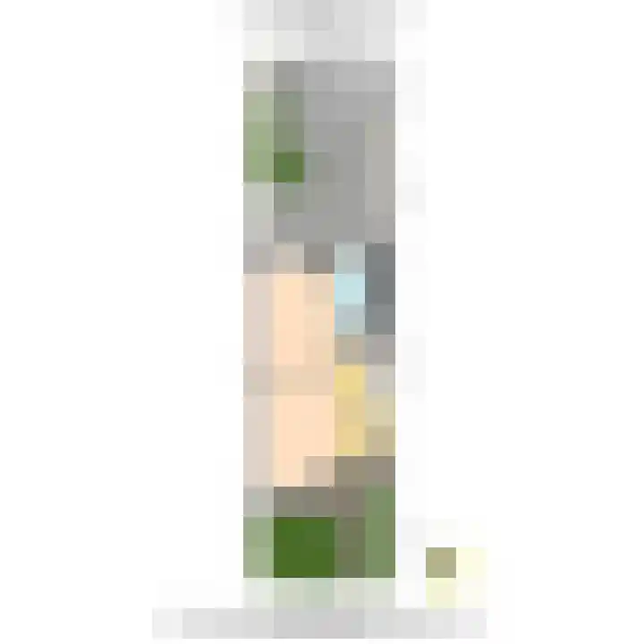 Commanderij 61 Maasland thumbnail 43