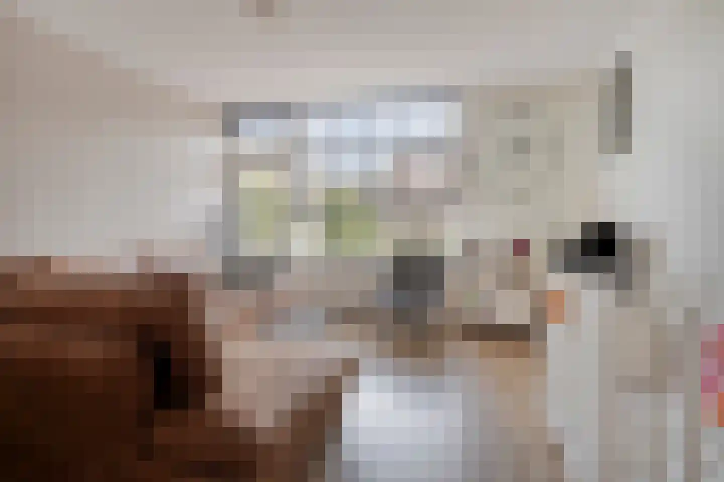 Commanderij 61 Sneek thumbnail 11