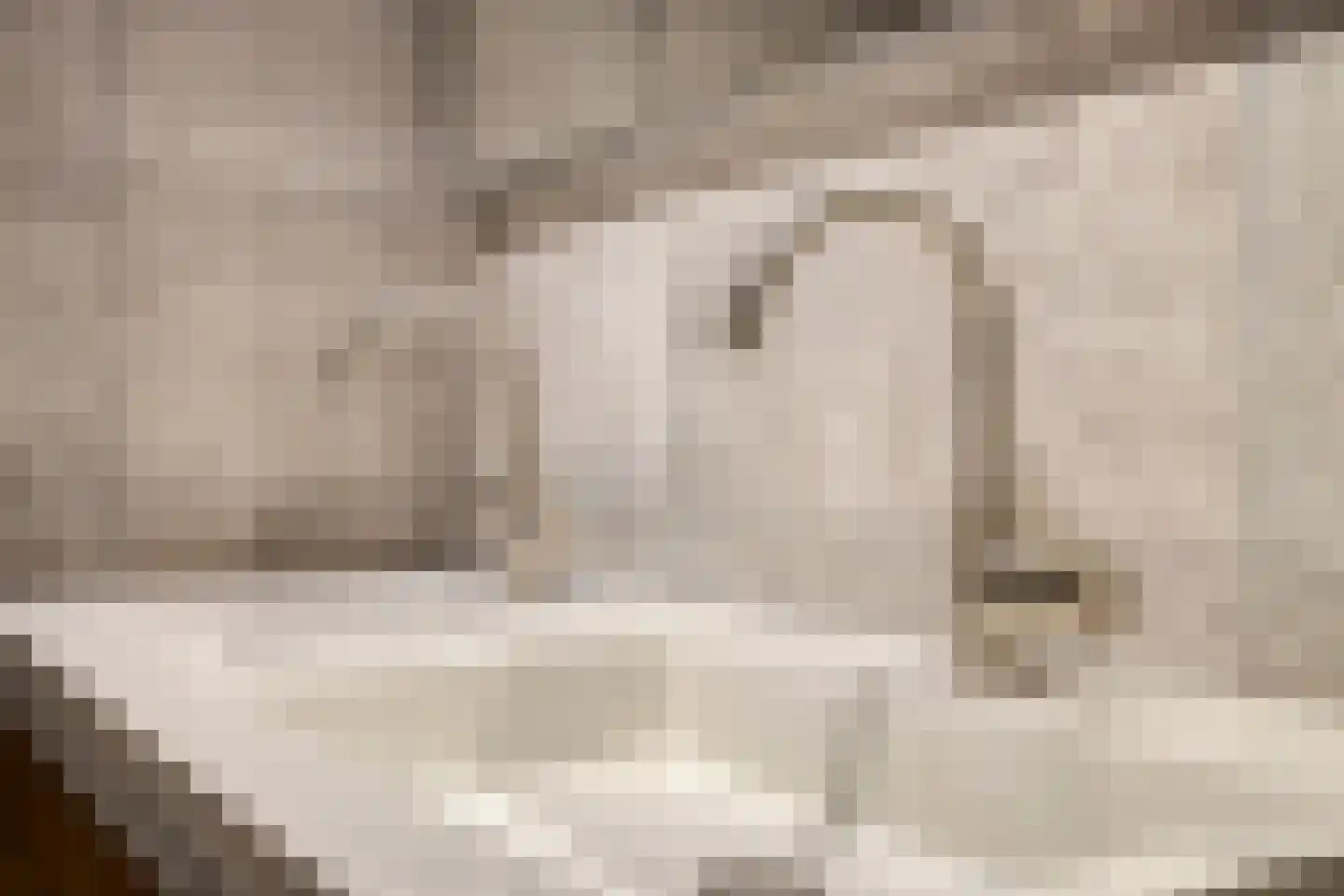 Commanderij 61 Sneek thumbnail 21