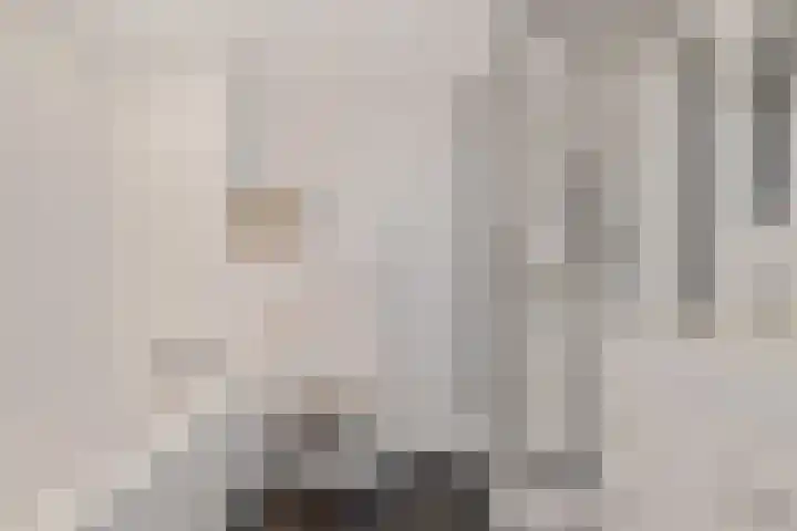 Commanderij 9 Sneek thumbnail 17