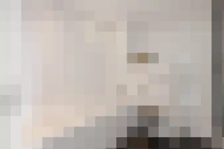 Commanderij 9 Sneek thumbnail 20