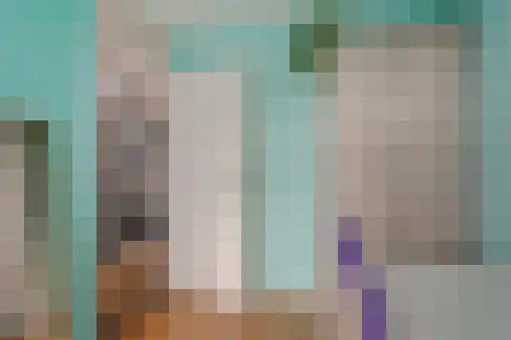 Commanderij 9 Sneek thumbnail 24