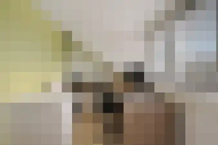 Commanderij 9 Sneek thumbnail 29