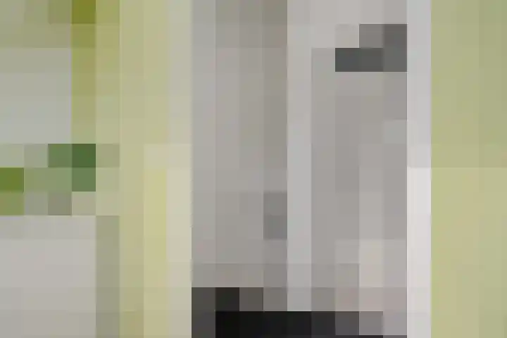 Commanderij 9 Sneek thumbnail 30