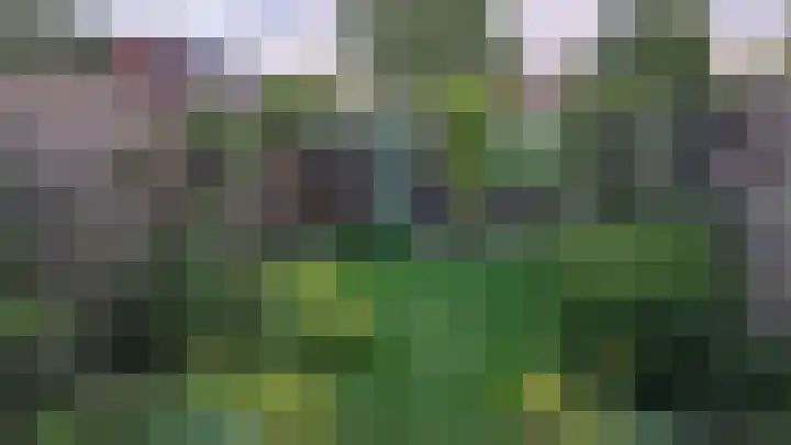 Commanderij 9 Sneek thumbnail 35