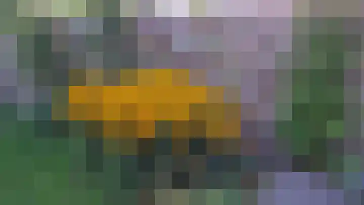 Commanderij 9 Sneek thumbnail 36