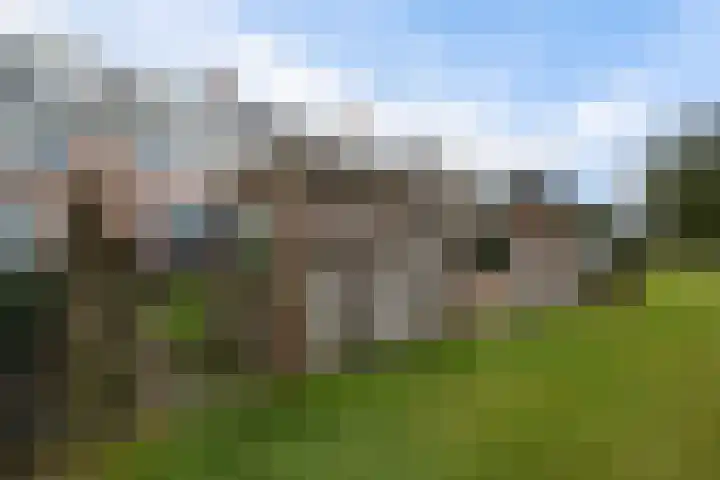Commanderij 9 Sneek thumbnail 37