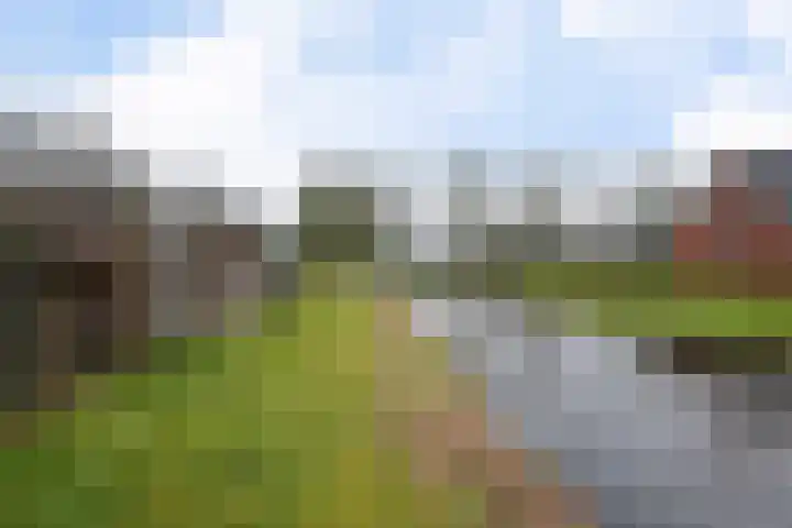 Commanderij 9 Sneek thumbnail 38
