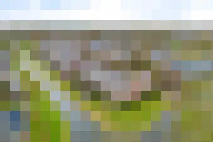 Commanderij 9 Sneek thumbnail 39