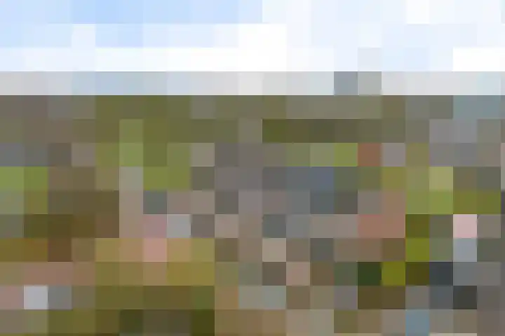 Commanderij 9 Sneek thumbnail 40