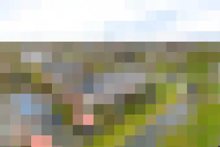 Commanderij 9 Sneek thumbnail 41