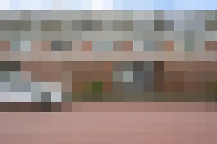 Commanderij 9 Sneek thumbnail 44