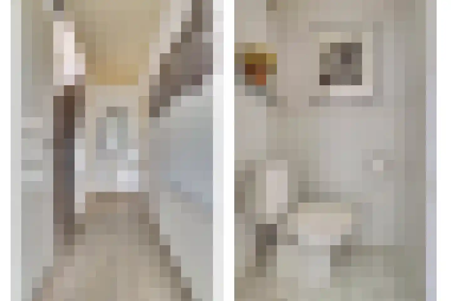 Commanderijstraat 8 Schelluinen thumbnail 12