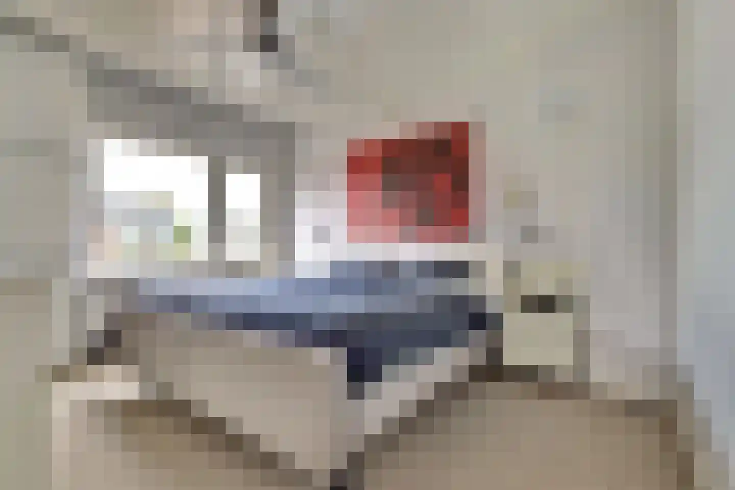 Commanderijstraat 8 Schelluinen thumbnail 14