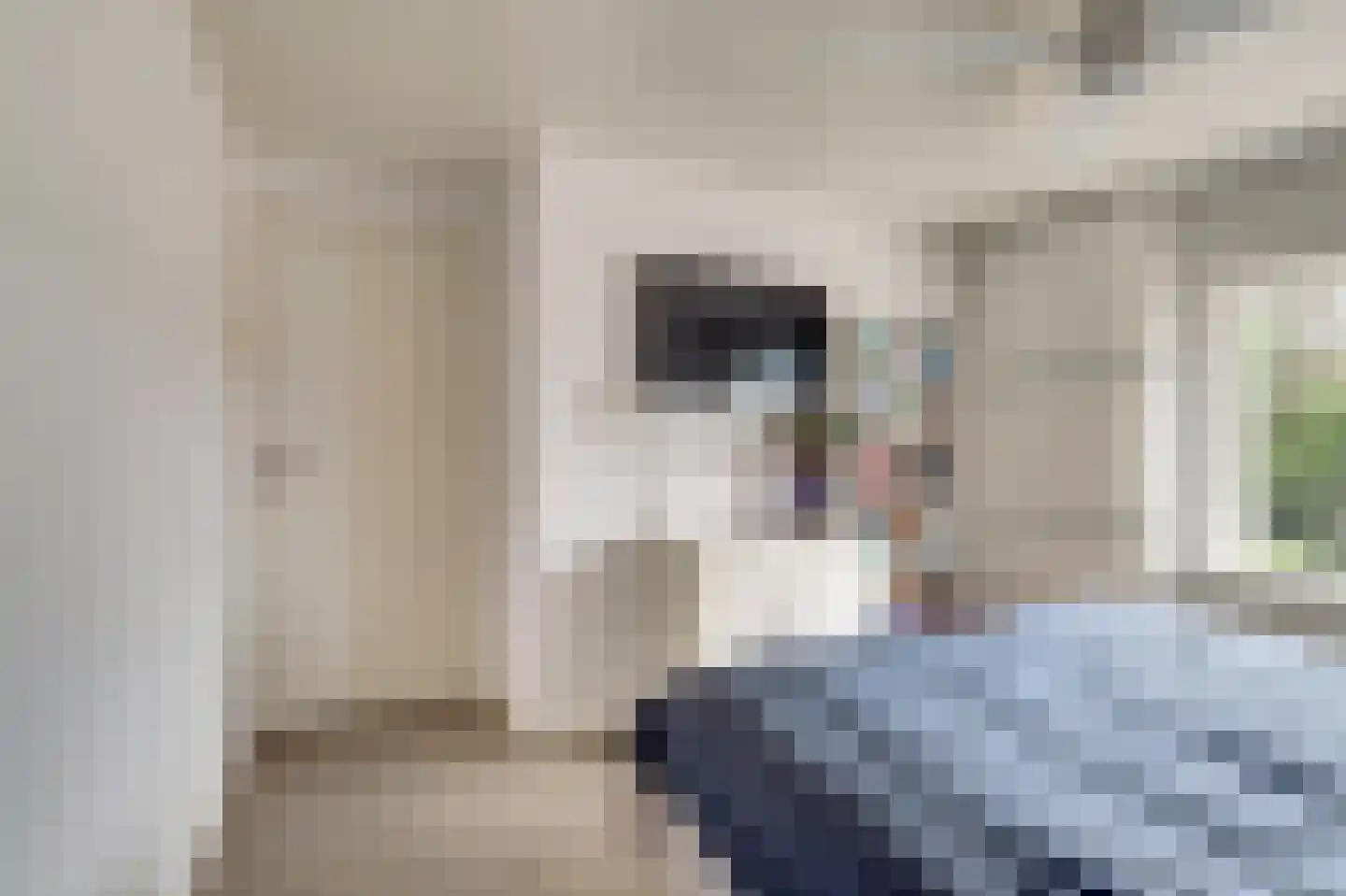 Commanderijstraat 8 Schelluinen thumbnail 15