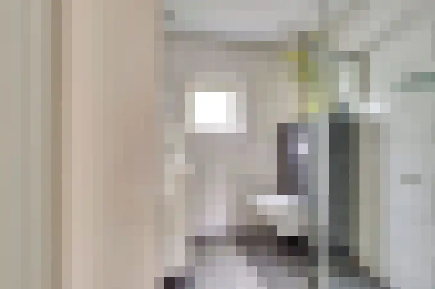 Commanderijstraat 8 Schelluinen thumbnail 18