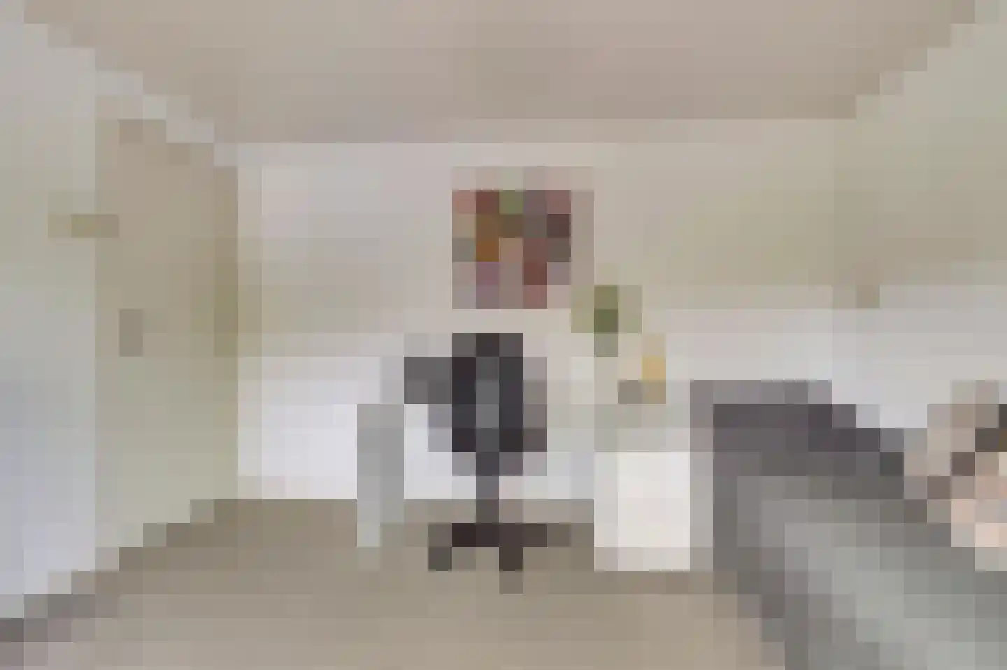 Commanderijstraat 8 Schelluinen thumbnail 21
