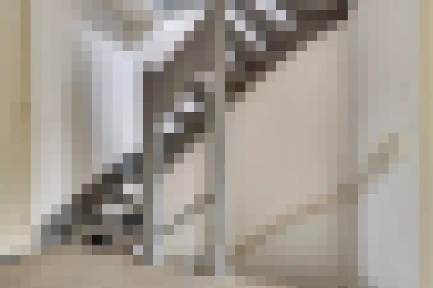 Commanderijstraat 8 Schelluinen thumbnail 22