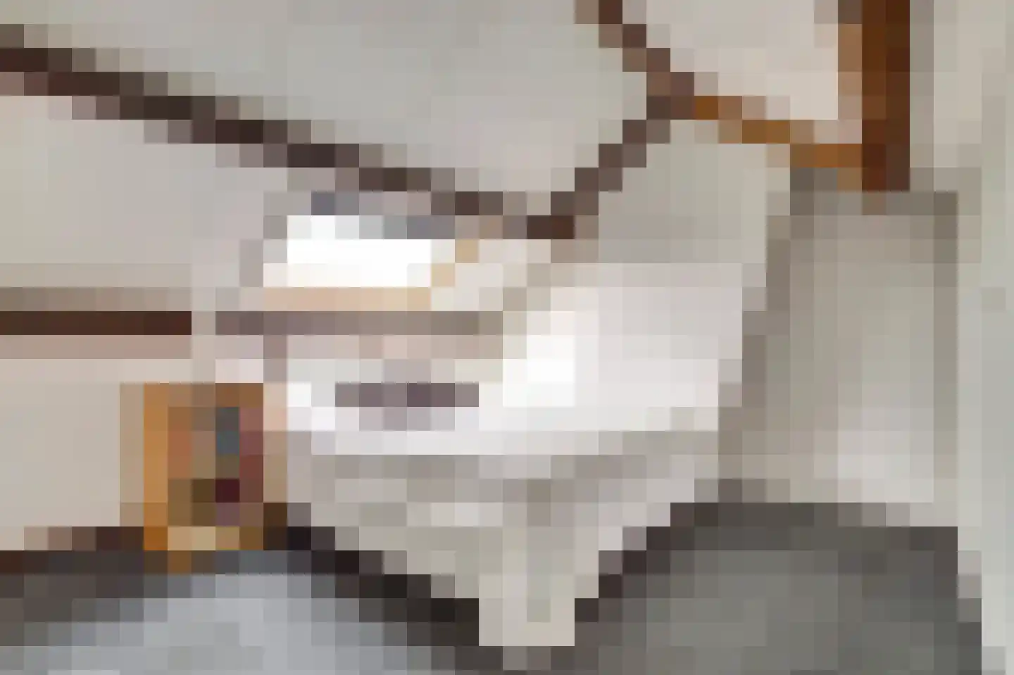 Commanderijstraat 8 Schelluinen thumbnail 24