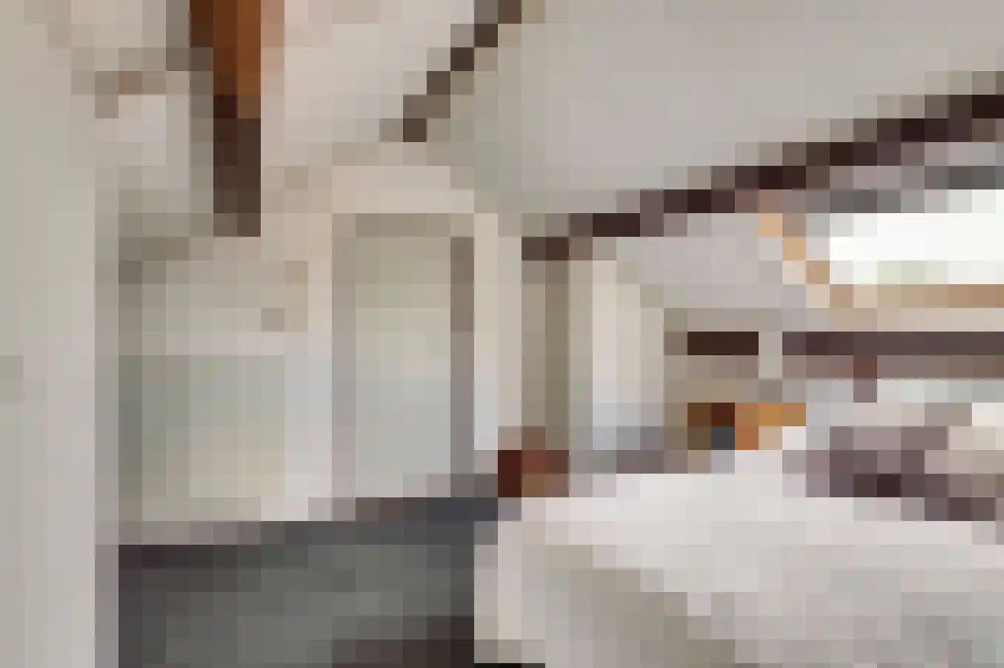 Commanderijstraat 8 Schelluinen thumbnail 25