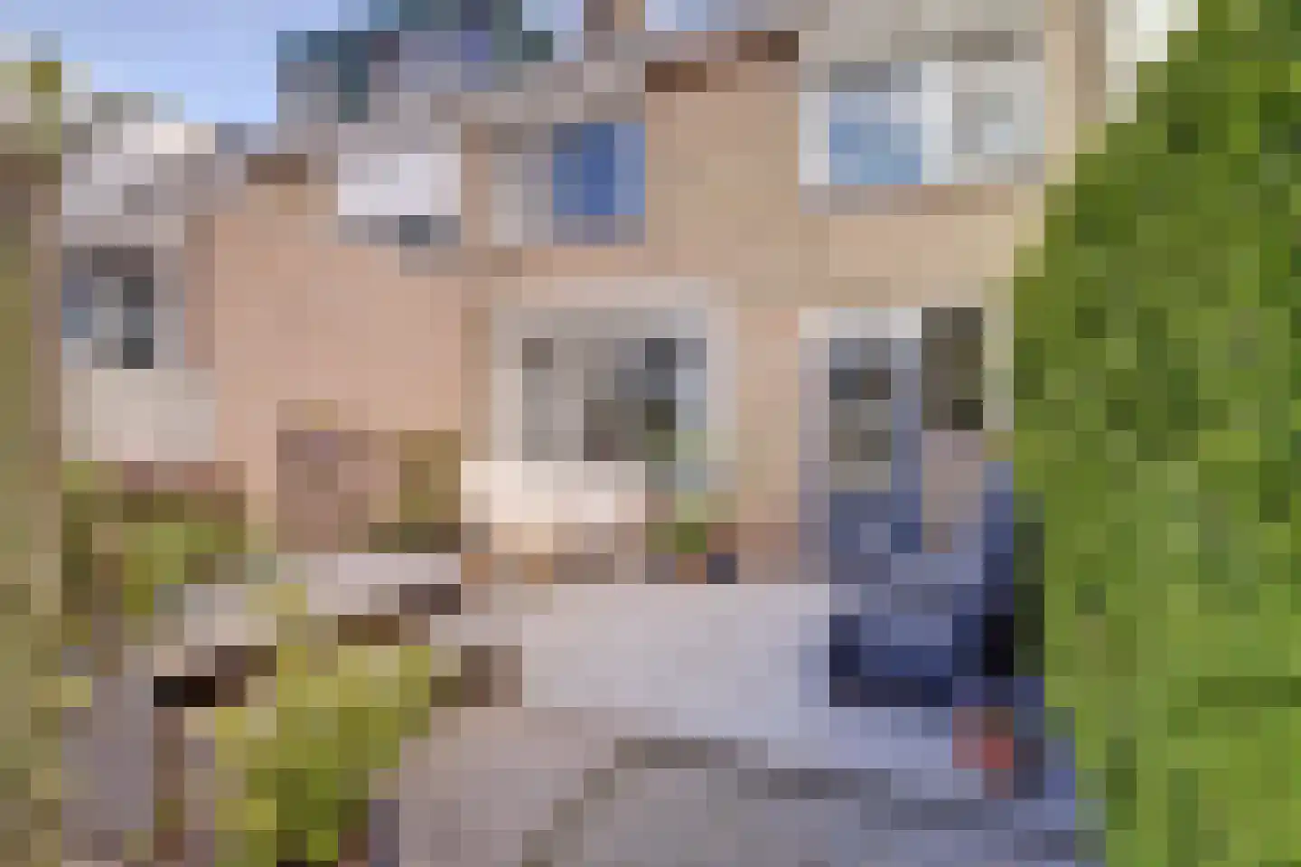 Commanderijstraat 8 Schelluinen thumbnail 28
