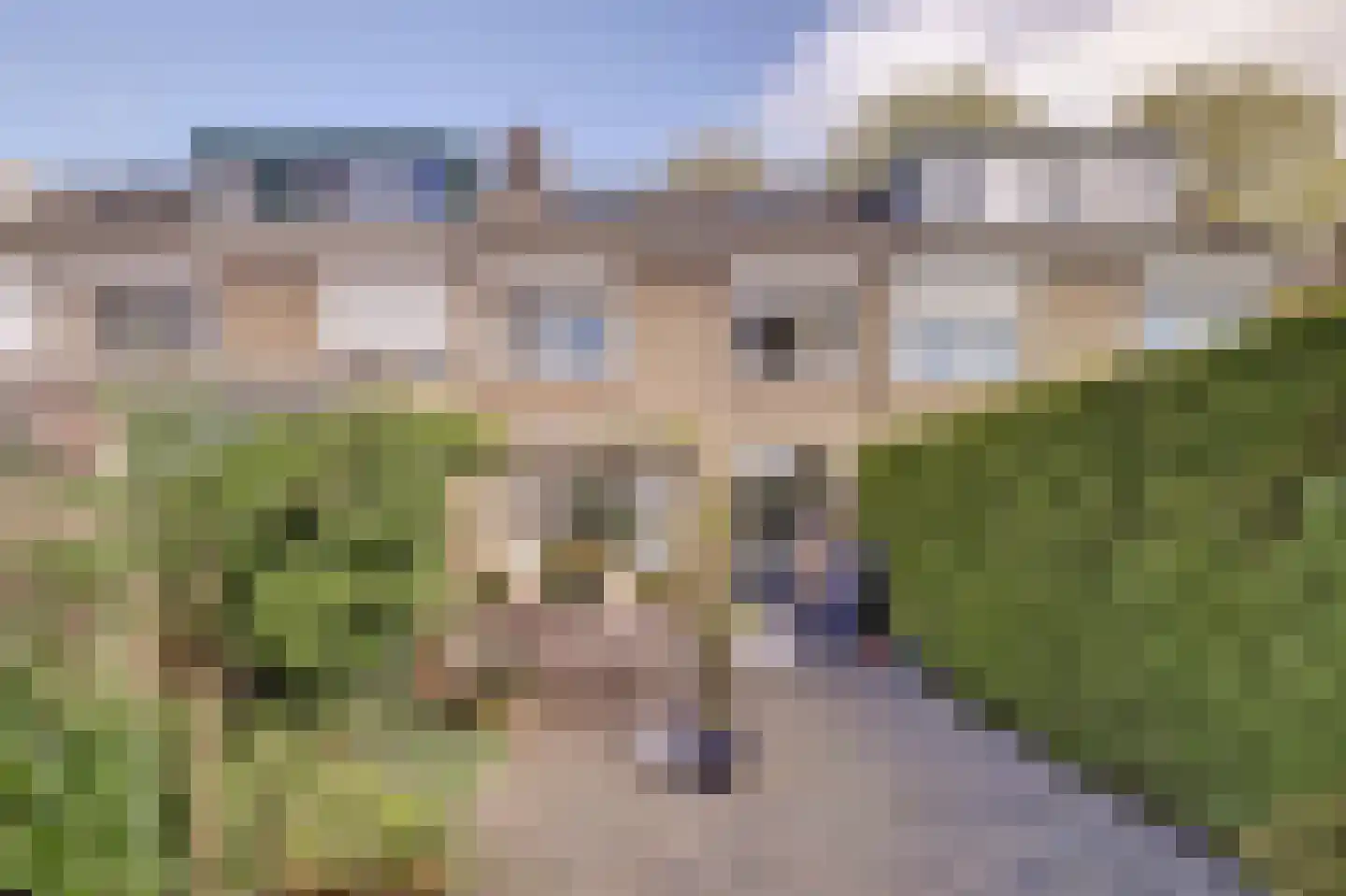 Commanderijstraat 8 Schelluinen thumbnail 32