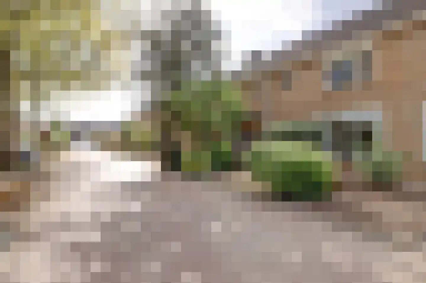 Commanderijstraat 8 Schelluinen thumbnail 34