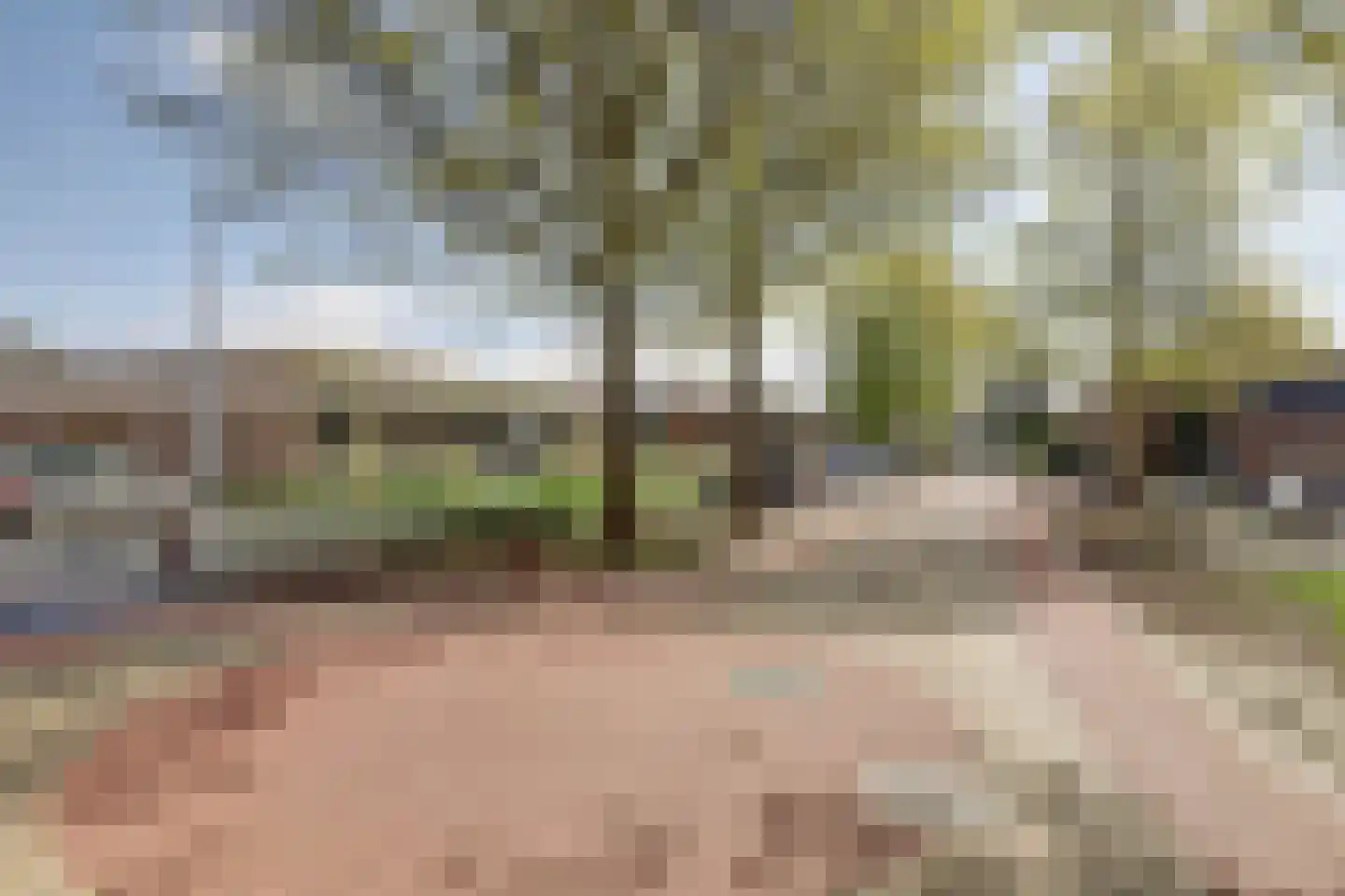 Commanderijstraat 8 Schelluinen thumbnail 35