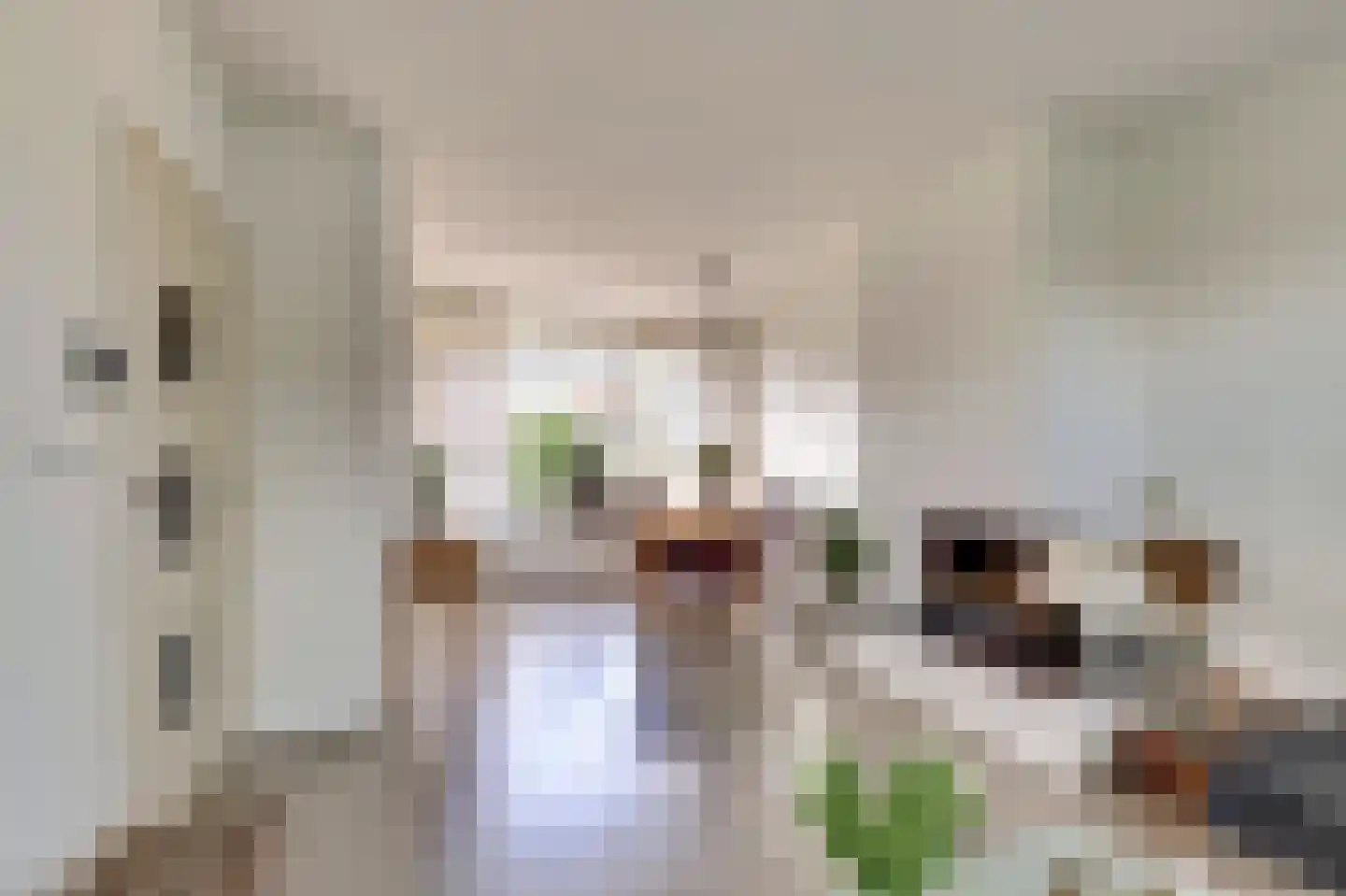 Commanderijstraat 8 Schelluinen thumbnail 4
