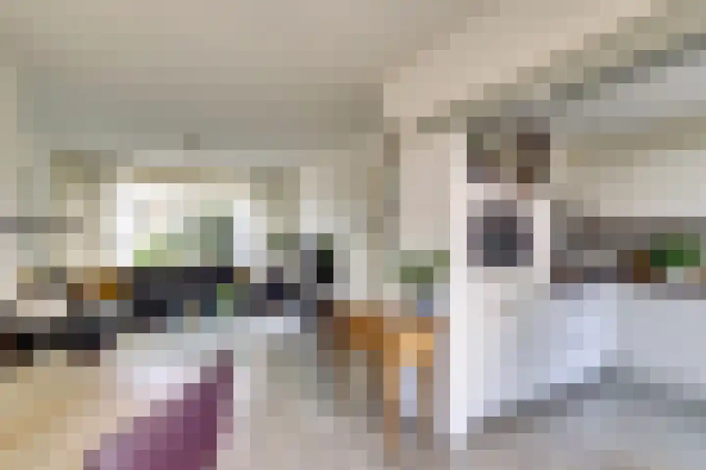 Commanderijstraat 8 Schelluinen thumbnail 6