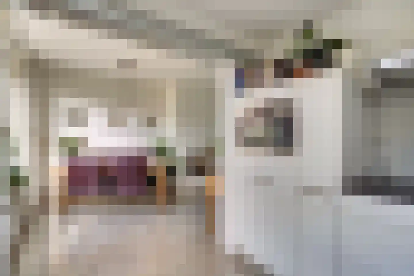 Commanderijstraat 8 Schelluinen thumbnail 9