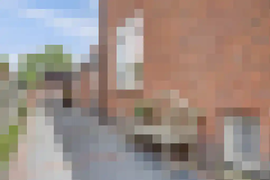 Commandeur Ravenstraat 1 Hoorn thumbnail 20