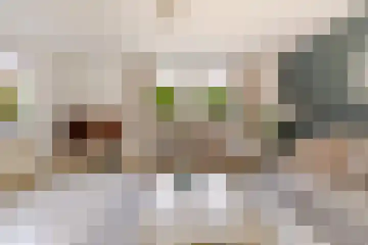 Commandeursborch 26 Houten thumbnail 11