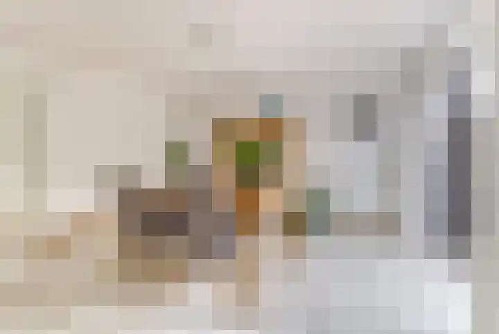 Commandeursborch 26 Houten thumbnail 14