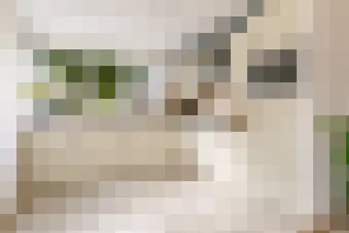Commandeursborch 26 Houten thumbnail 17