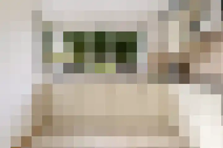 Commandeursborch 26 Houten thumbnail 18