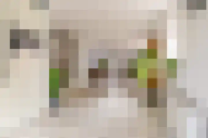 Commandeursborch 26 Houten thumbnail 19